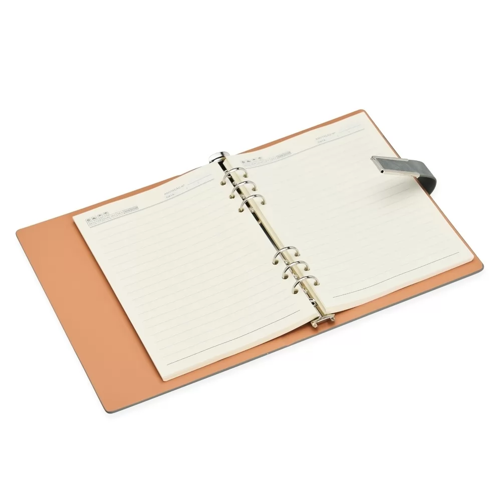 miolo caderno